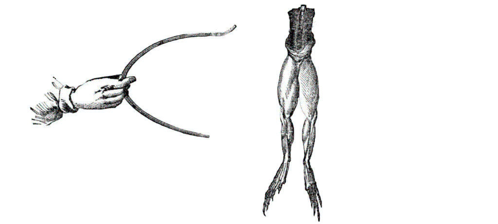 Late 1780s diagram of Galvani's experiment on frog legs. He did some pretty crazy stuff with those cables folks.
